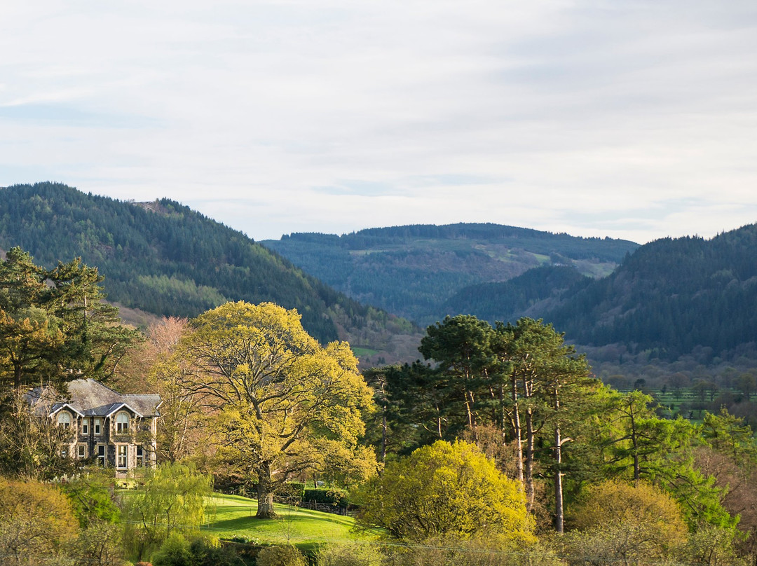 Ffin y Parc Gallery-Llanrwst必去景点