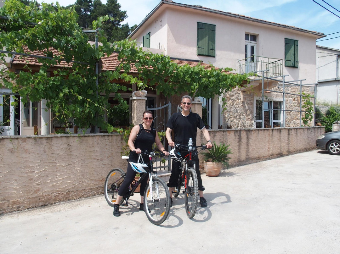 Natural Hvar Tours景点图片