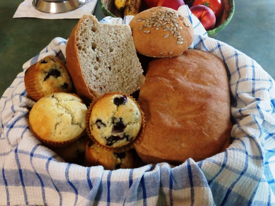 Changing Seasons Bed and Breakfast主图