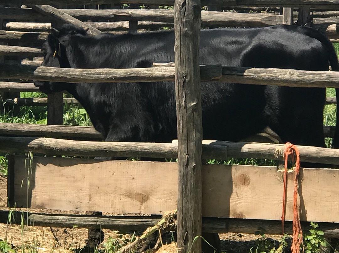 Oasi LIPU Castel di Guido-罗马必去景点