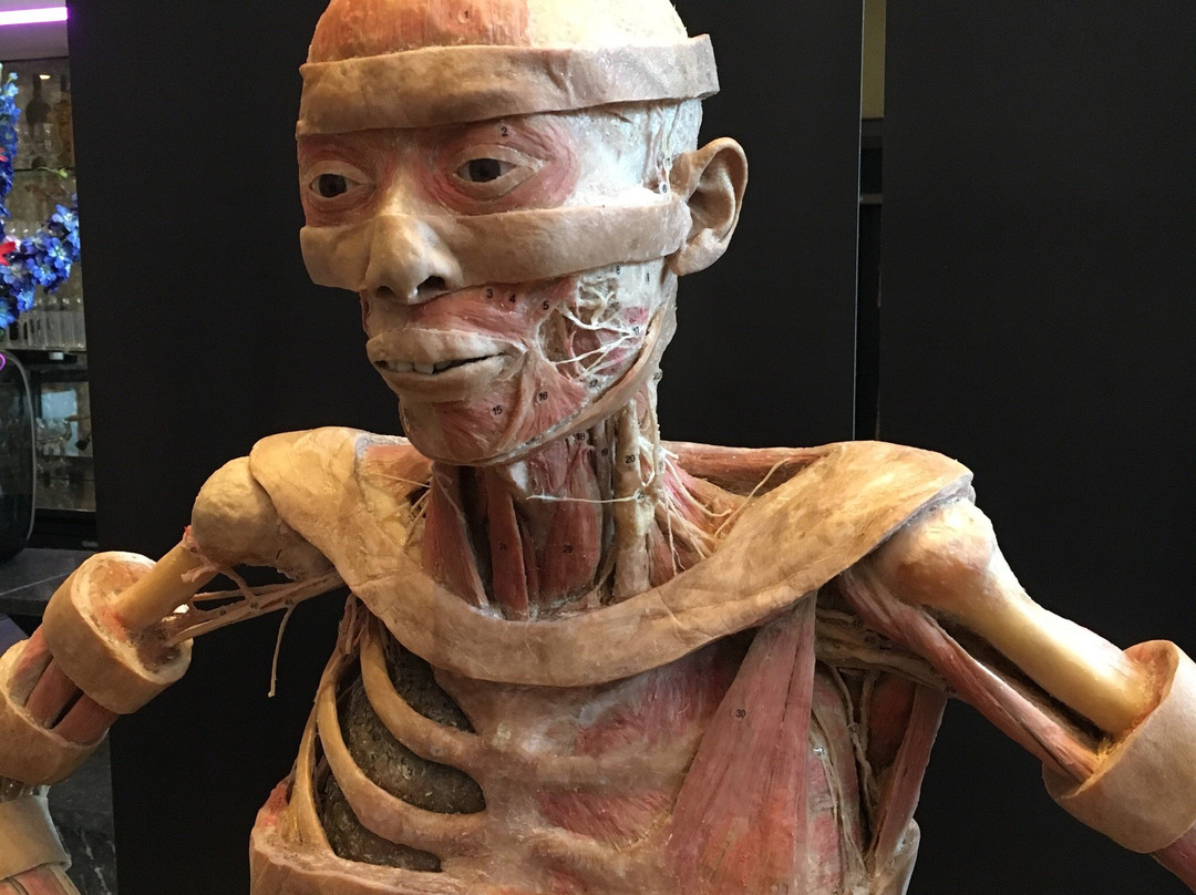 Marienhof Amersfoort-阿默斯福特必去景点