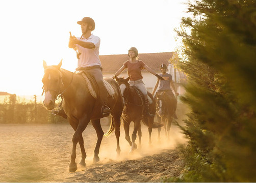 Konjički Klub Fortuna-贝尔格莱德必去景点