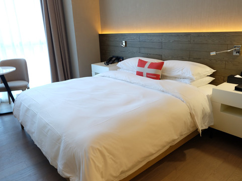 穗和瑞斯丽酒店（广州白云国际机场T3航站楼人和地铁站店）主图