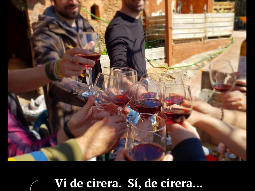 Bodega Sirot-托雷利亚斯-德略布雷加特必去景点