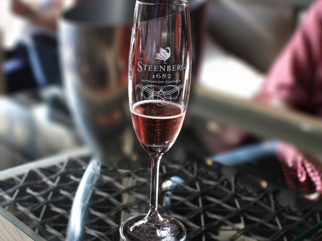 SadiCapeTours-开普敦中心区必去景点