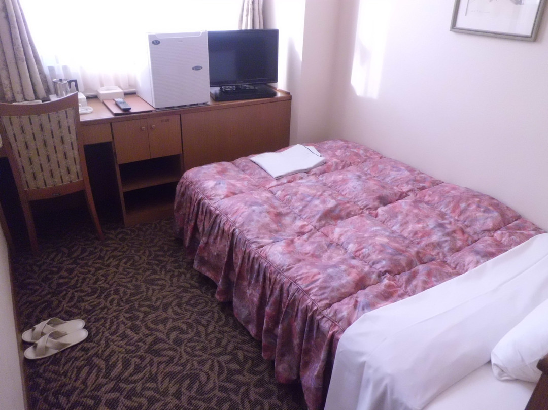 Kobayashi City Hotel Palace主图