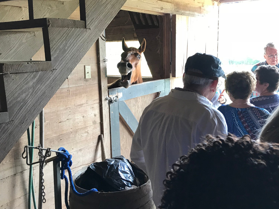 Old McCaskills Farm-Rembert必去景点