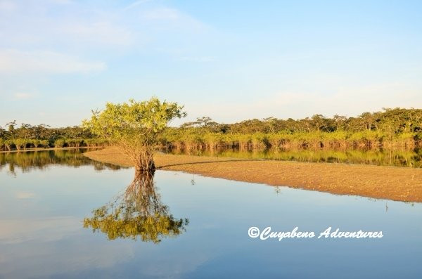 Cuyabeno Adventures-Nueva Loja必去景点
