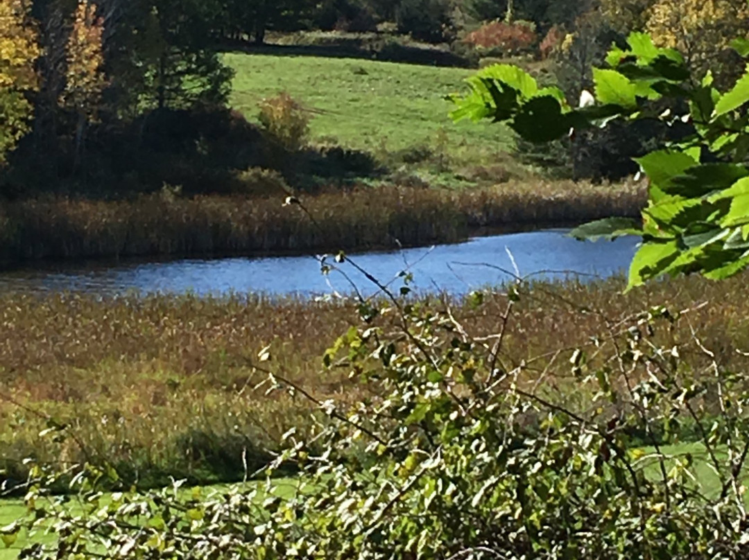 Willow Pond Farm B & B主图