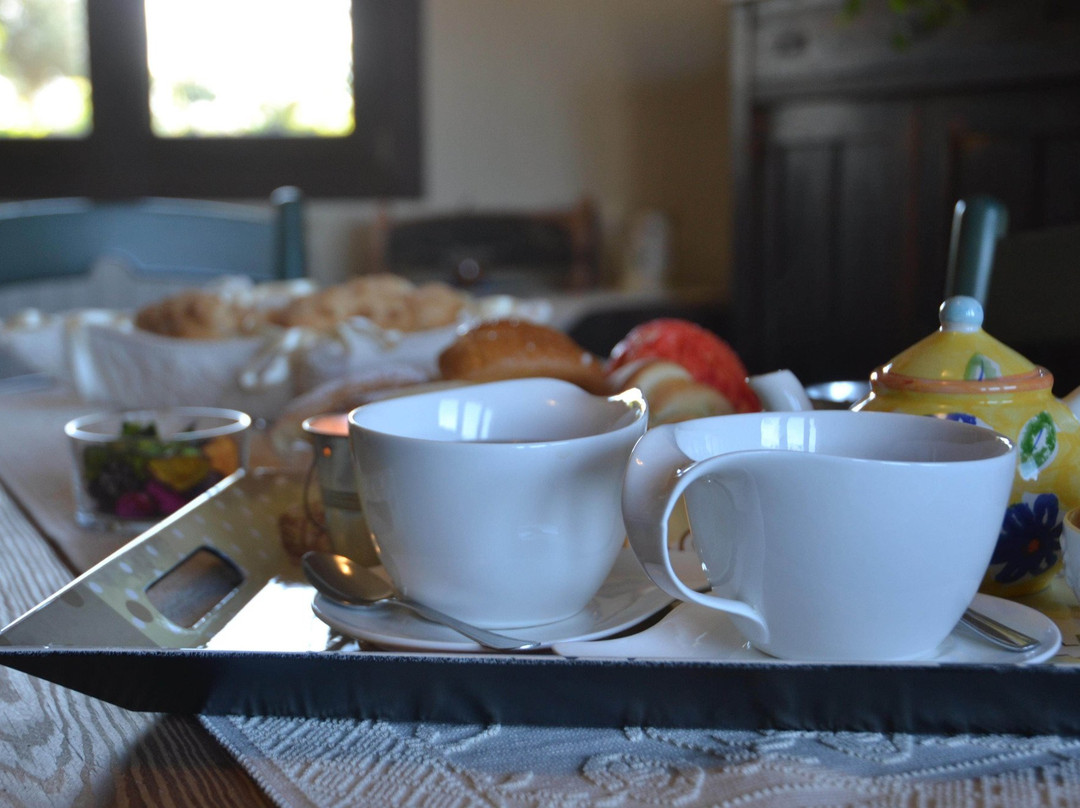 B&B Antica Botte Sassari主图