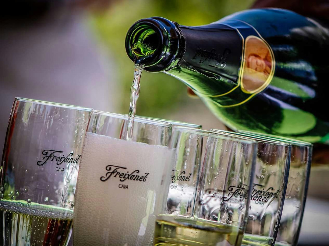 Vive Disfruta Mexico-克雷塔罗必去景点