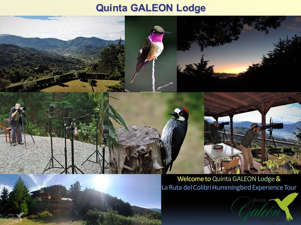 圣卡洛斯酒店住宿-Quinta Galeon Lodge