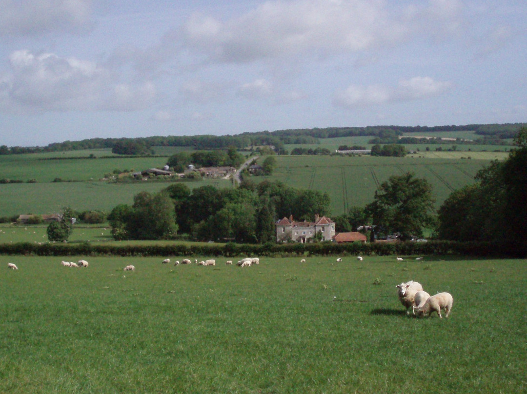 Marshwood Farm B&b And Shepherds Hut主图