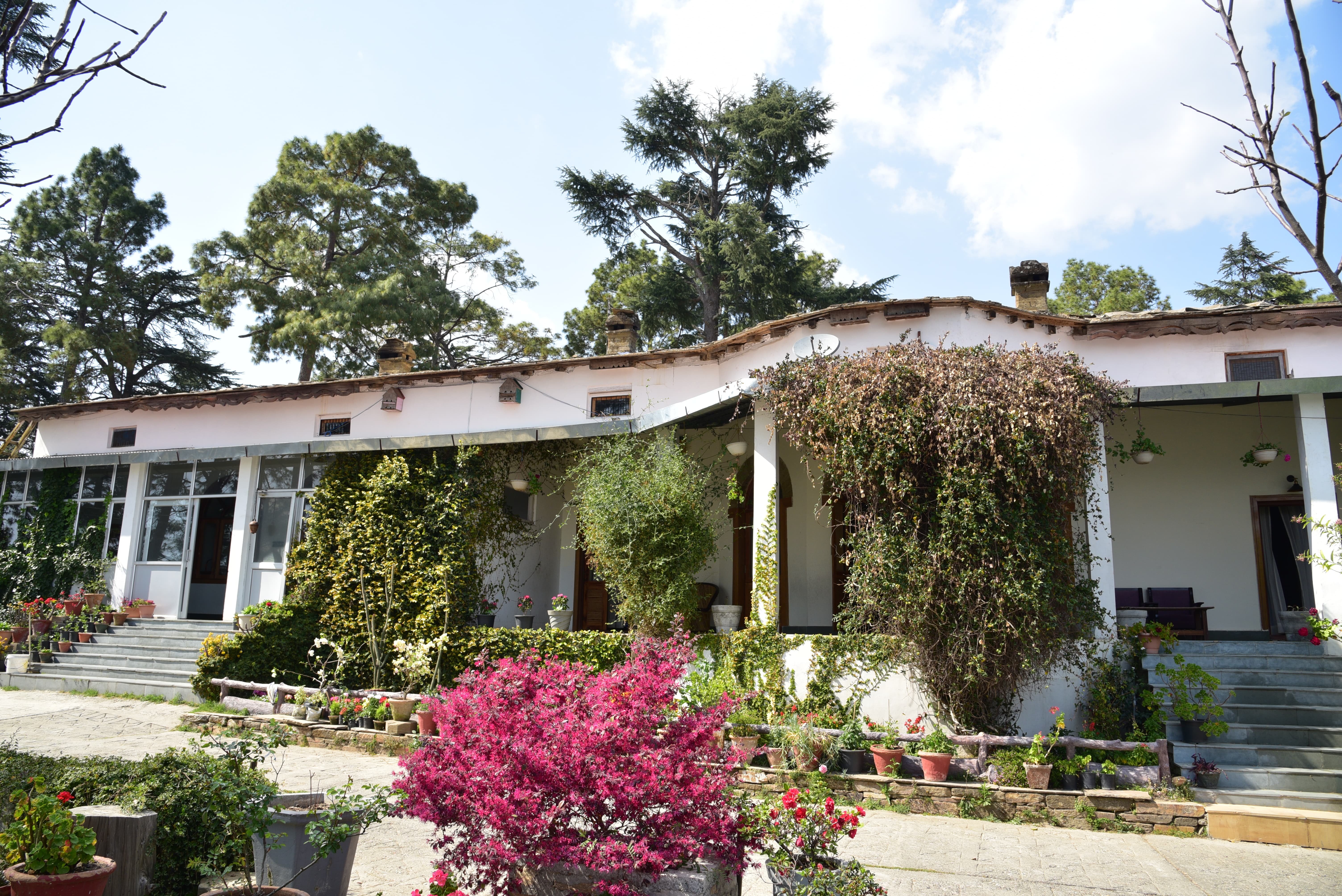 Deodar Homestay-官方