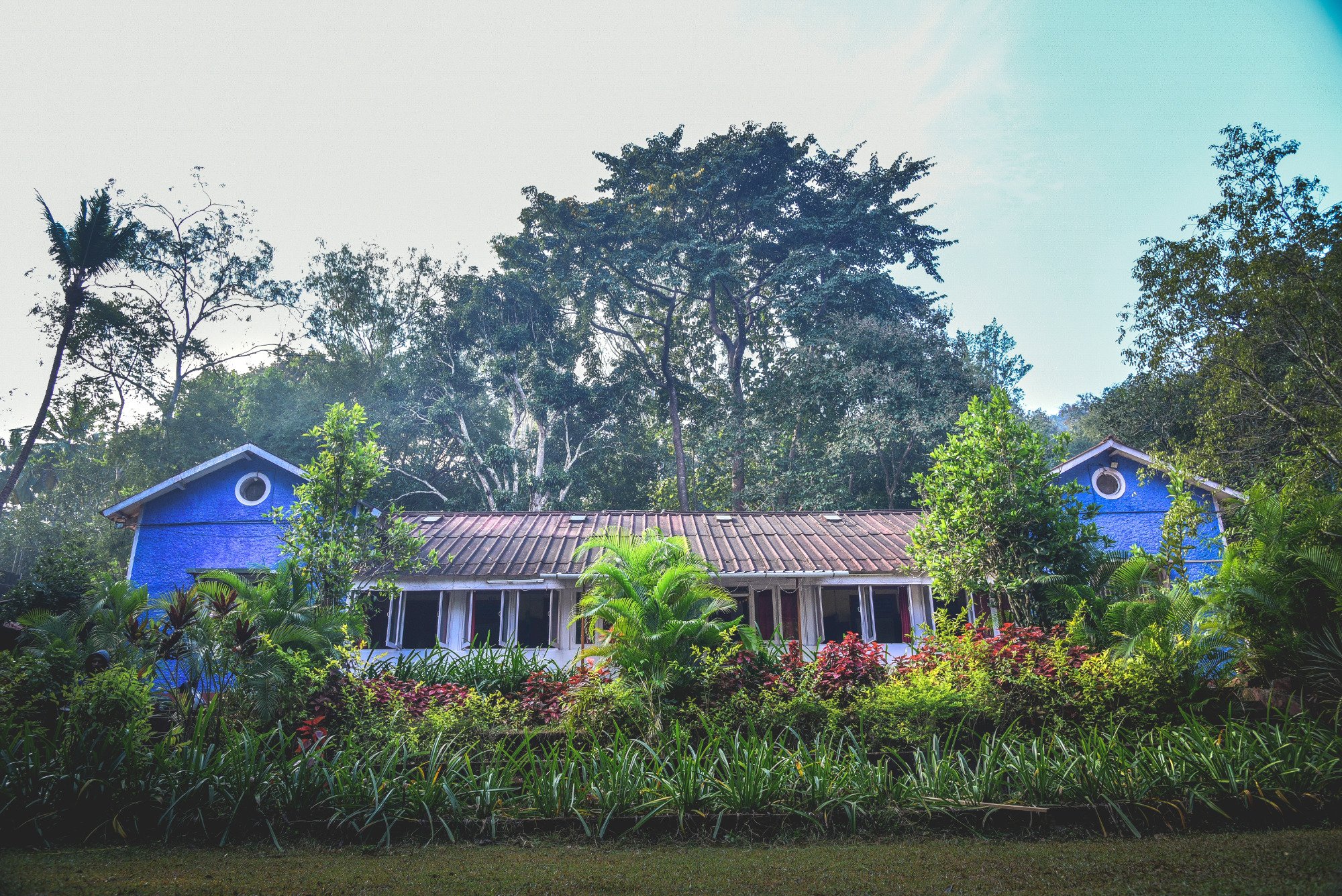 Wild Flower Home Stay-官方