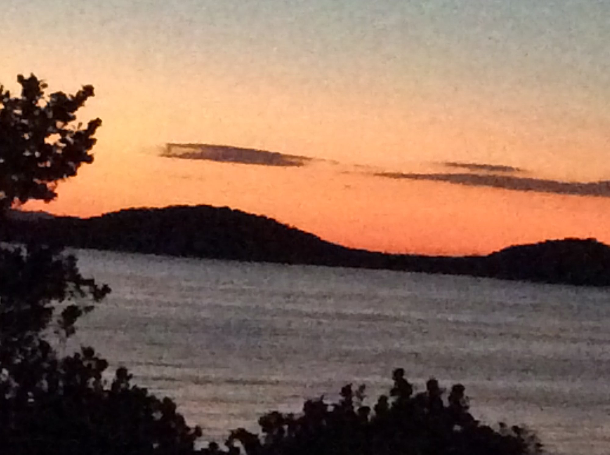 Hotel San Carlos Plaza, Beach & Convention Center-酒店景观