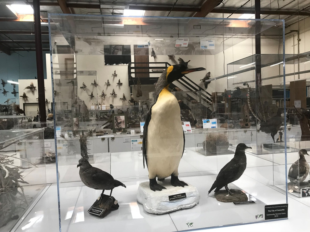 The Western Foundation of Vertebrate Zoology-卡马里奥必去景点