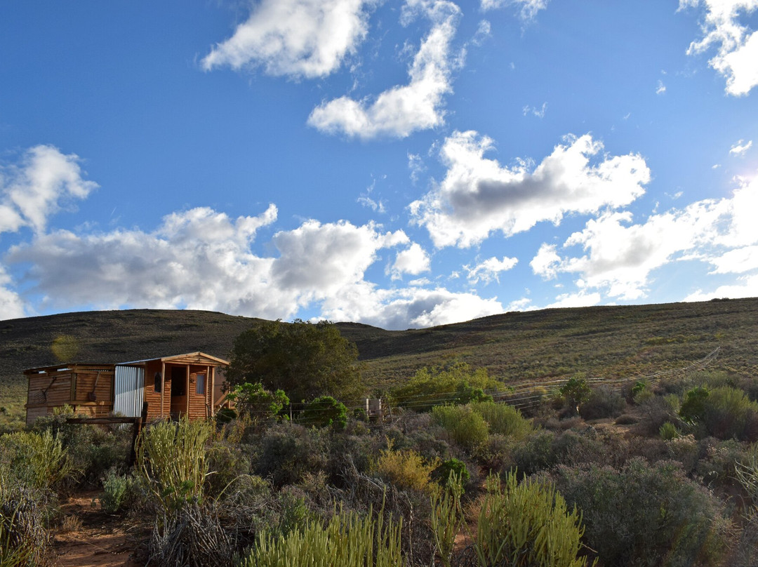 Zwartkop Guest Farm