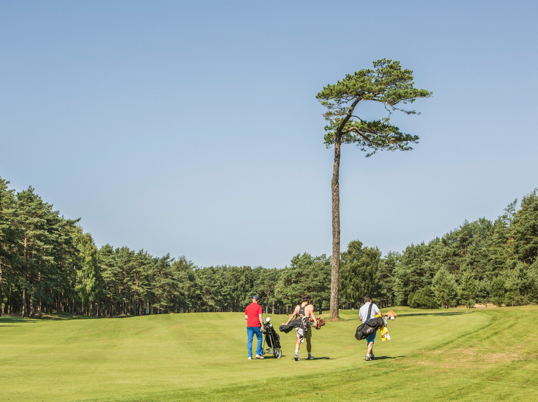 Halmstad Golfbana Tylösand-哈姆斯塔德必去景点