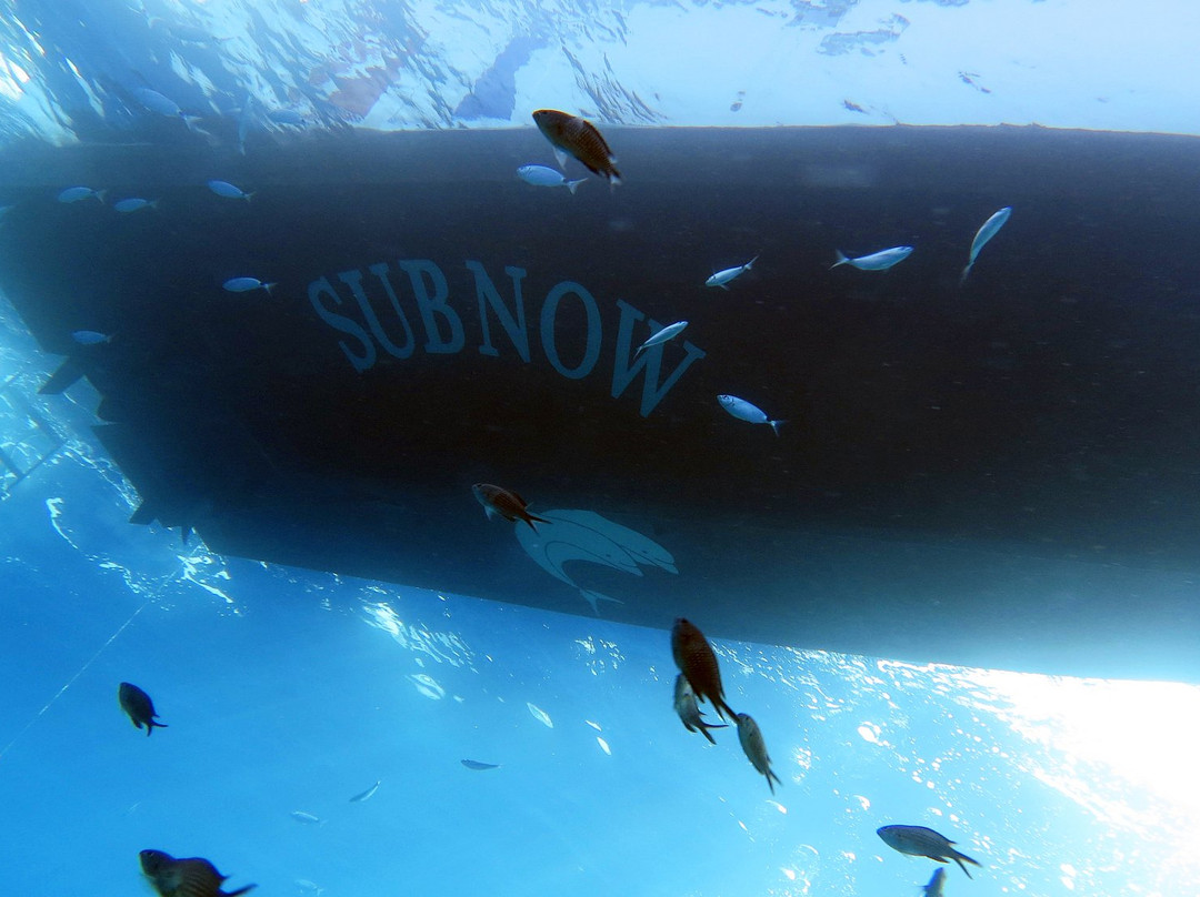 Sub Now Diving Center-Marina di Campo必去景点
