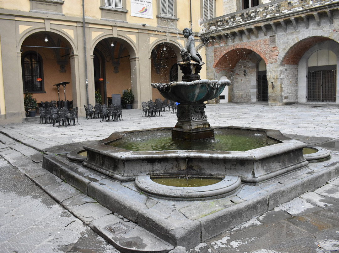 Fontana del Bacchino景点图片