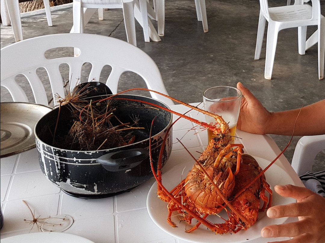 Coconut Palm Guesthouse主图