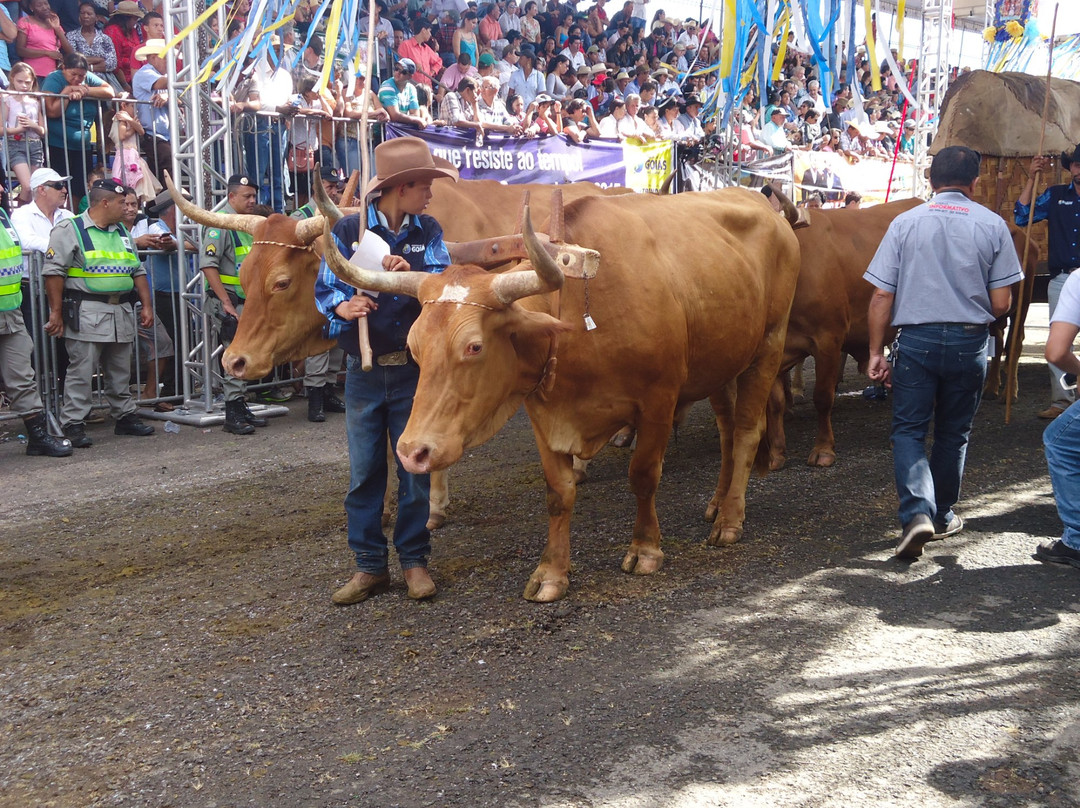 Trindade旅游景点-Carreirodromo de Trindade