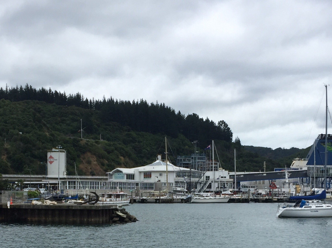 Picton House B & B主图