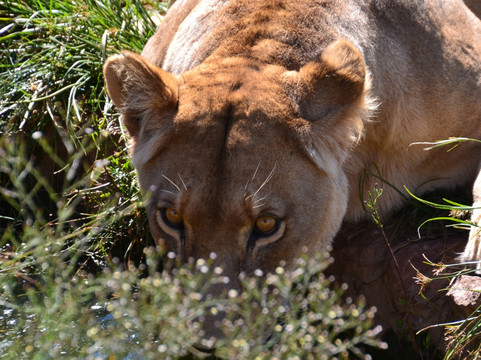 Adventure Cape Town-开普敦中心区必去景点
