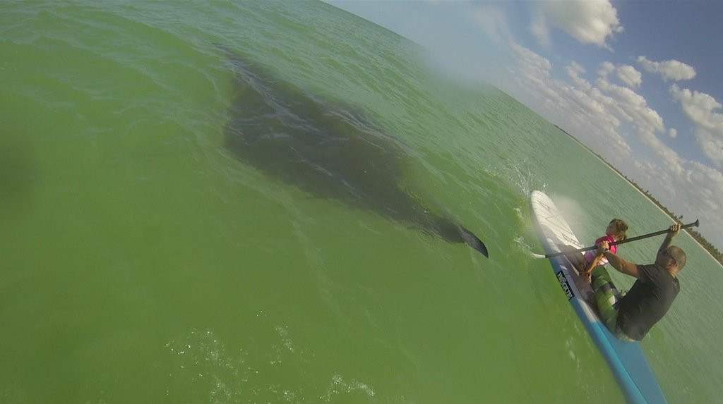 Come Kite With Us-El Cuyo必去景点