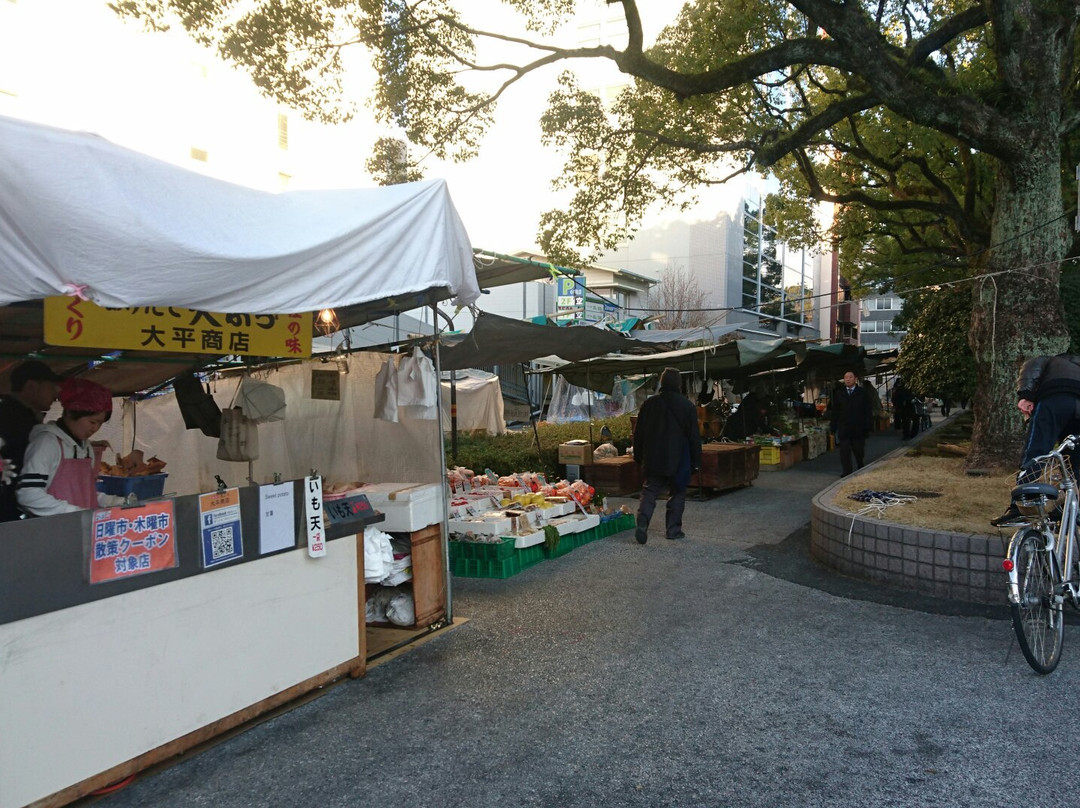 Thursday City-高知市必去景点