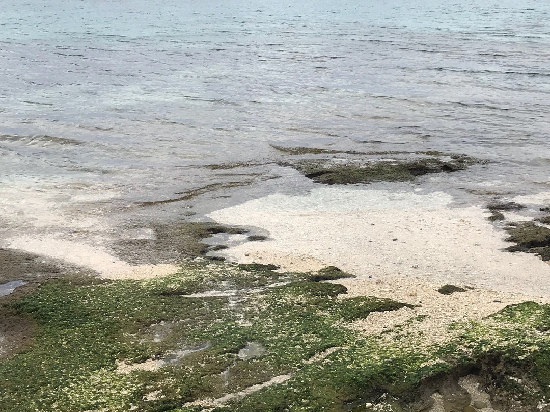 Beach Rock景点图片