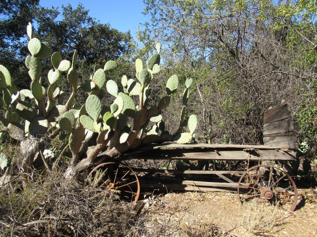 Oak Canyon Nature Center-阿纳海姆必去景点