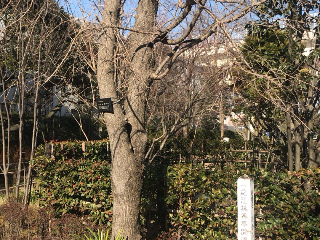 Ichinoe Makkotei-江戸川区必去景点