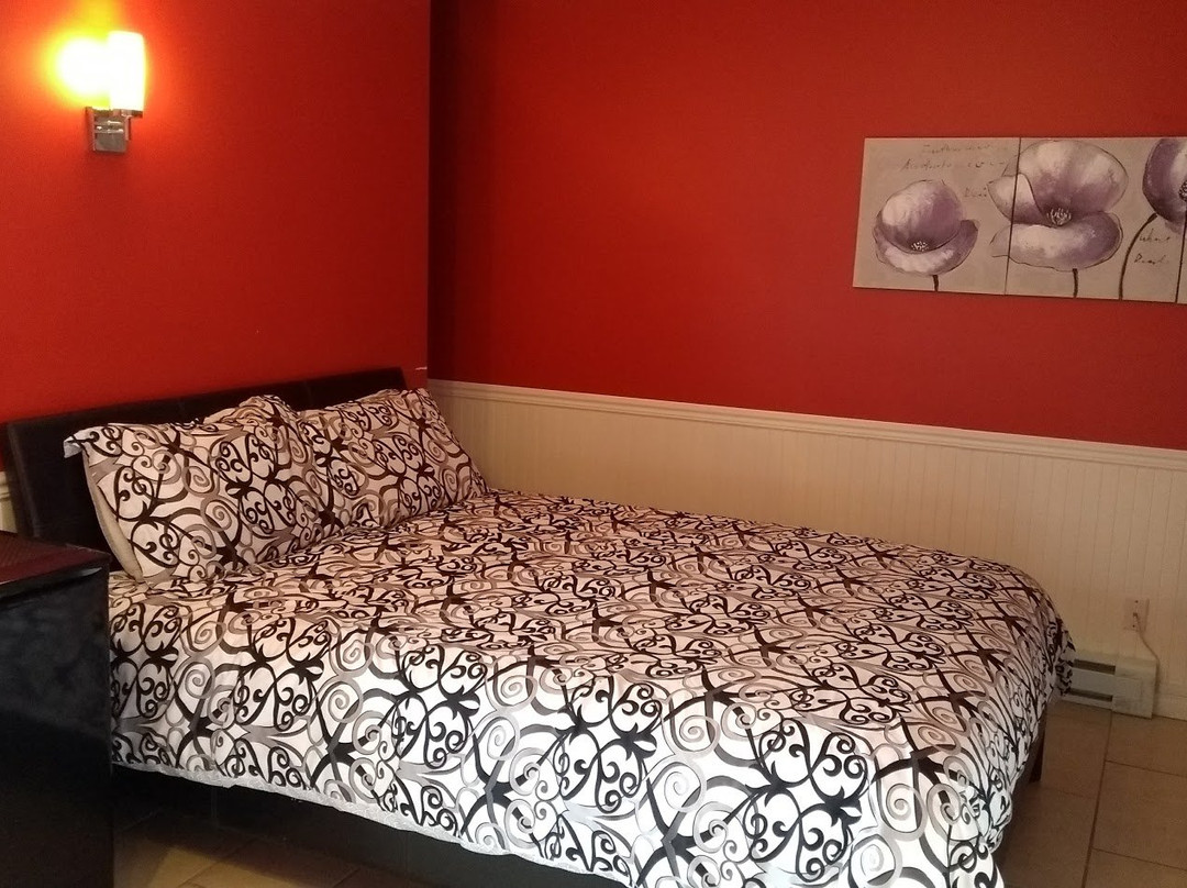 Motel Le Saint-alex     Citq 245582主图