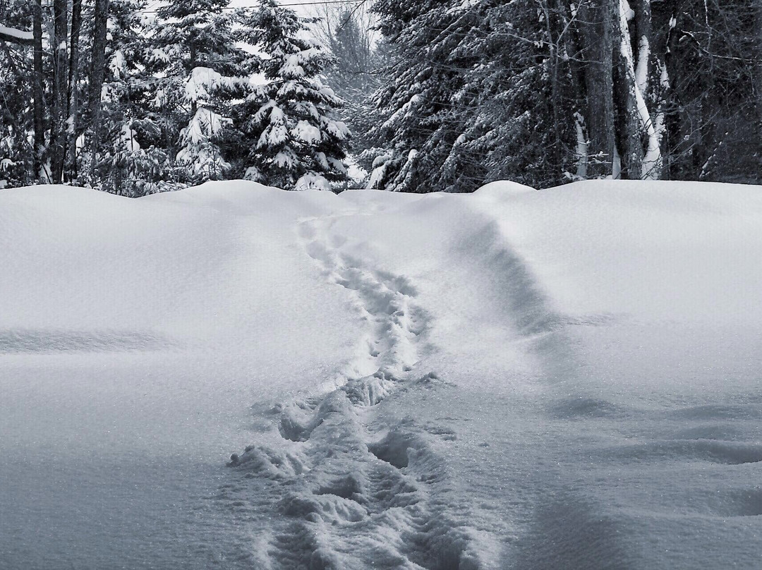 Auberge du Lac Archambault主图