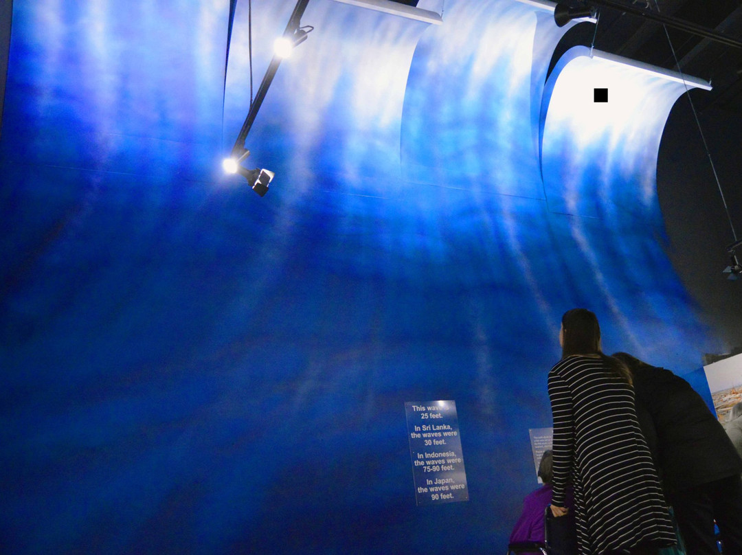 Real Life Exhibit Portland-波特兰必去景点