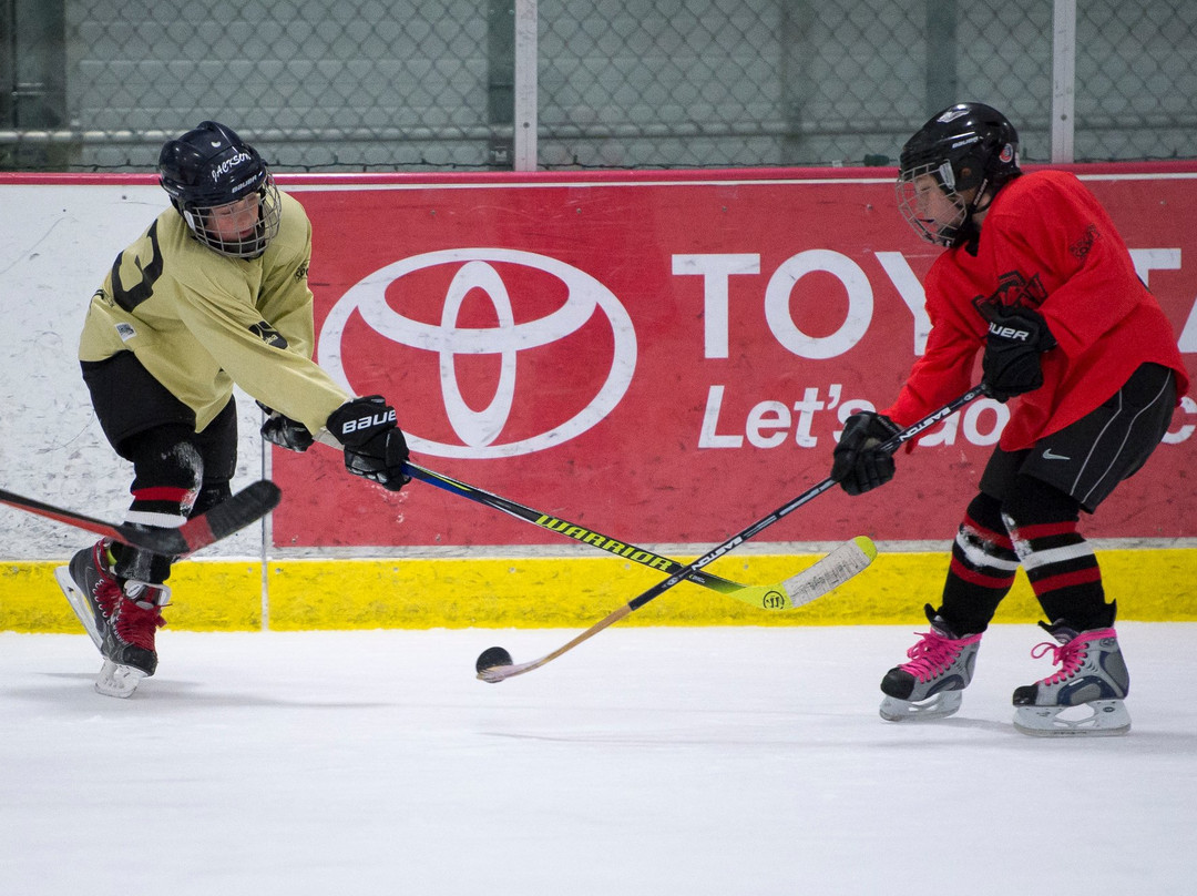 Haynes Pavilion and Ressler Motors Ice Rink-博兹曼必去景点