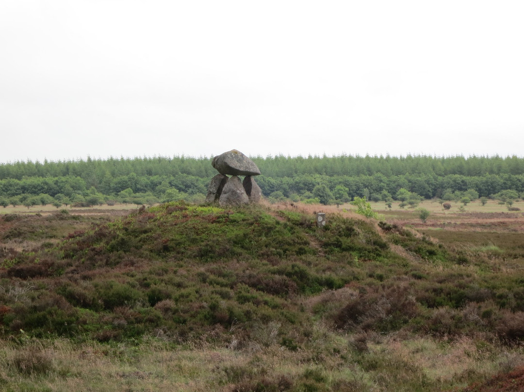 Nature Centre Harrild Moors景点图片