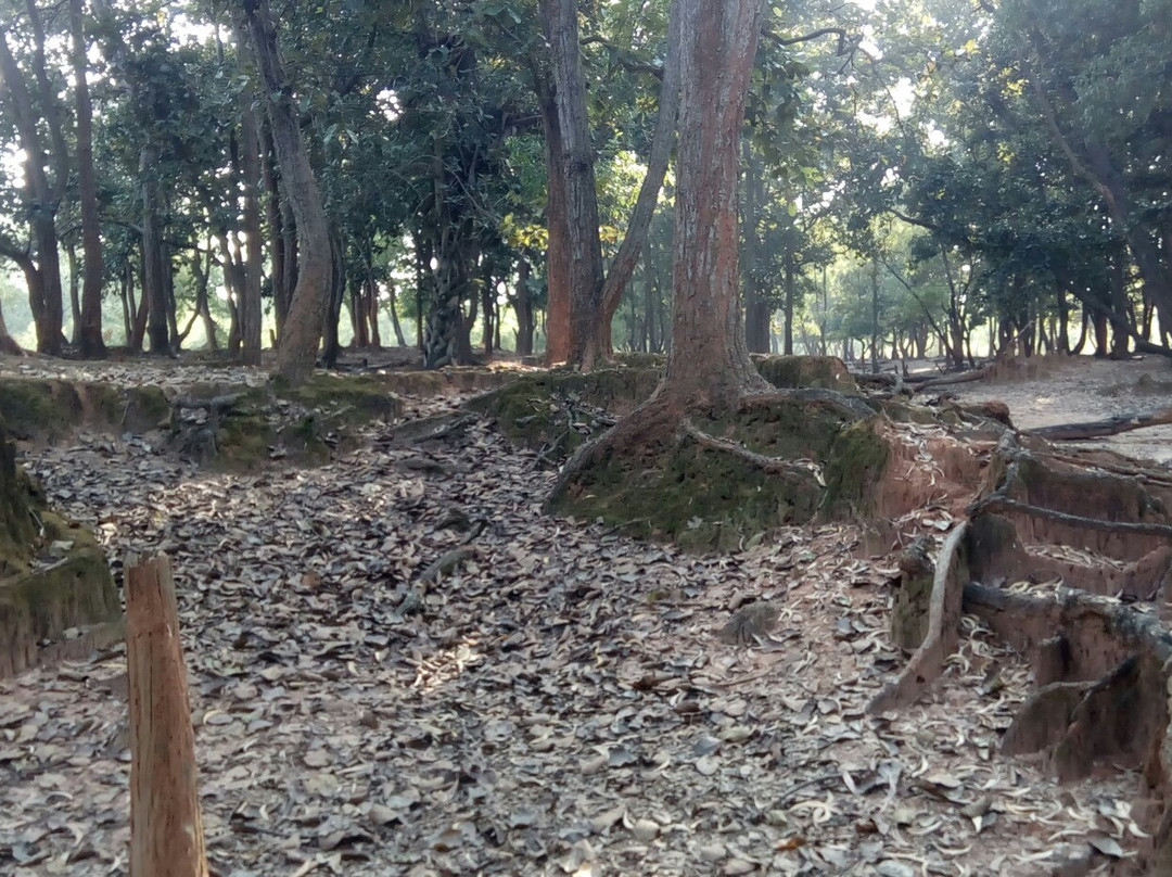 Ballavpur Wildlife Sanctuary景点图片