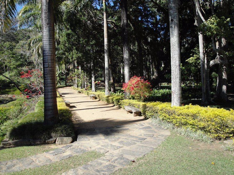 Fazenda do Secretario景点图片