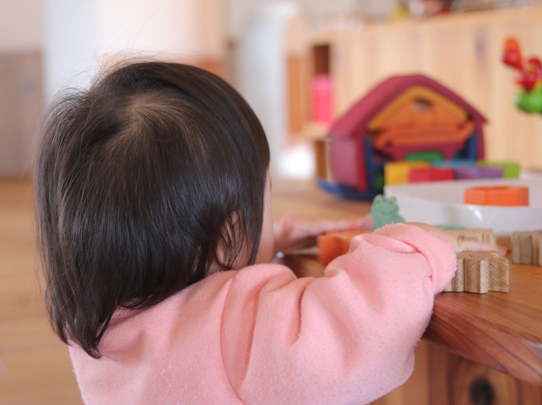 Toy House Kodomo to Ki景点图片