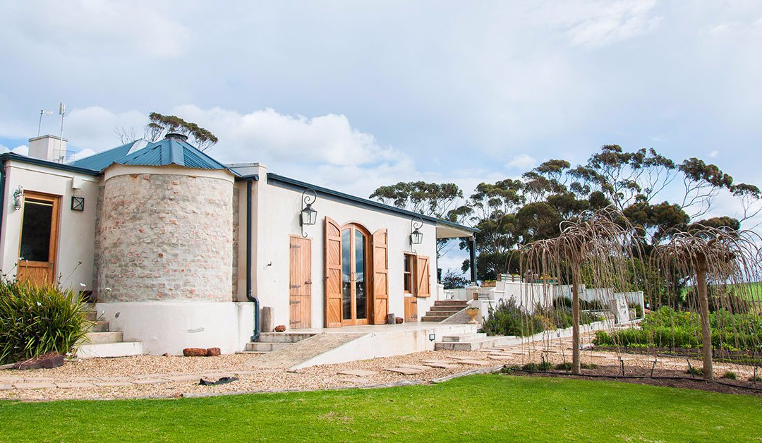 Bredasdorp旅游景点-Black Oystercatcher Wine