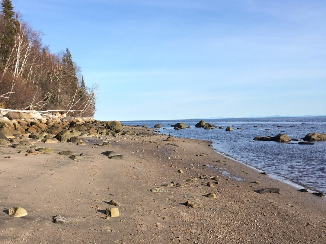 Boise de la Pointe St Gilles-Baie Comeau必去景点