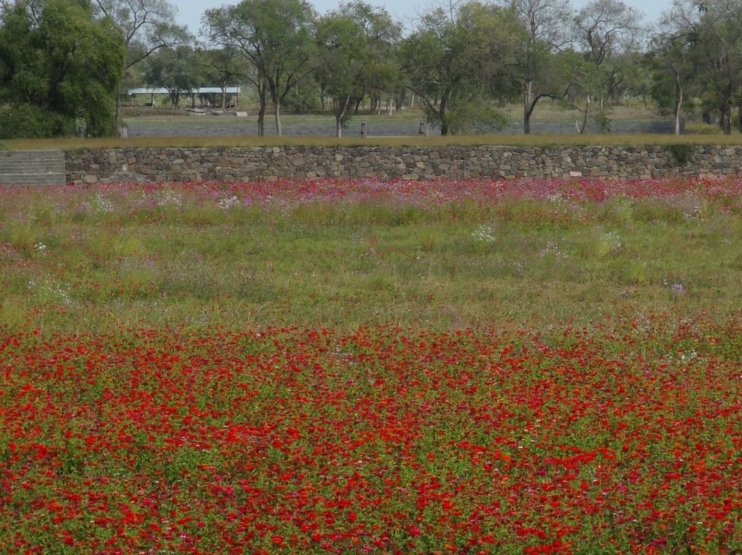 上京龙泉府遗址-宁安市必去景点