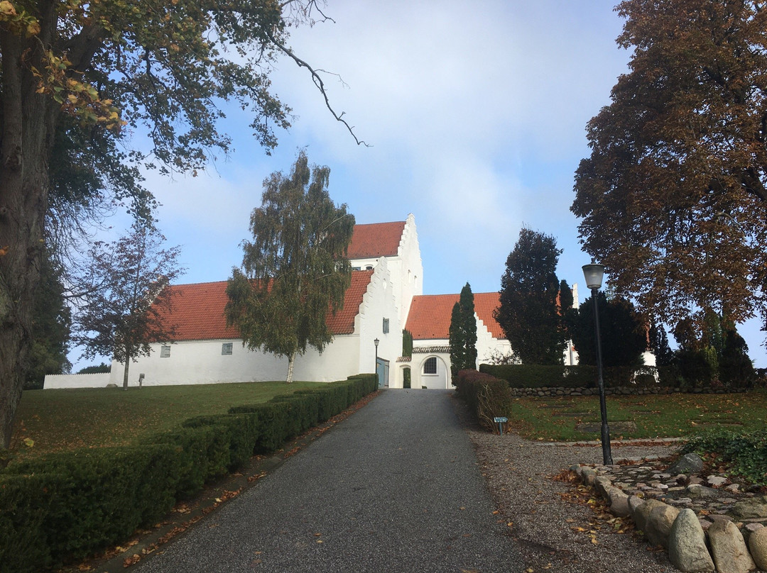 Tranebjerg Kirke-特兰山必去景点