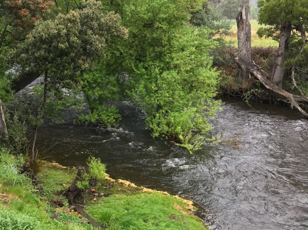 Westerway旅游攻略图片