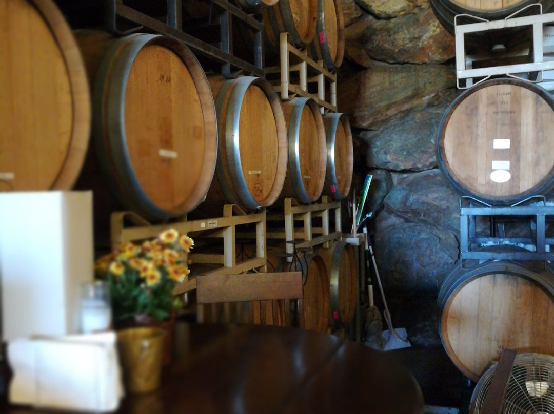 Vina Castellano Winery景点图片