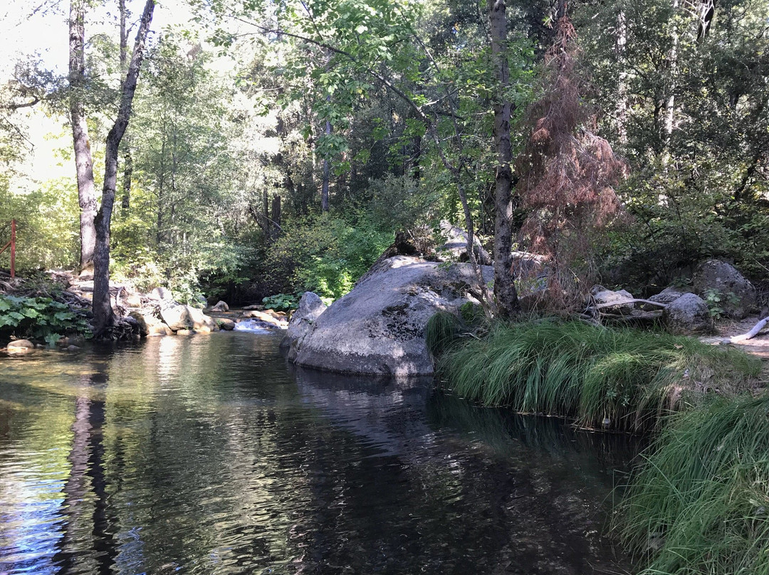 Willow Creek Trail景点图片