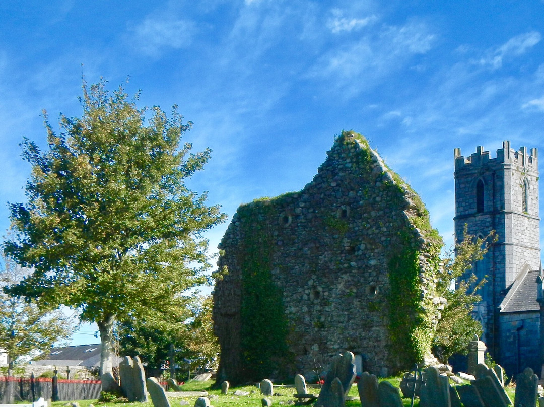 St. Mary's Church of Ireland Graveyard景点图片